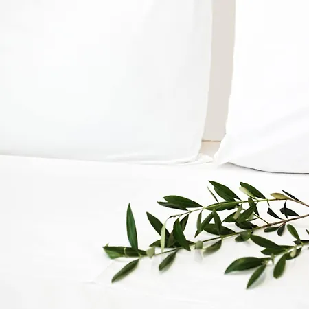 Atlas Skiathos Aparthotel 4*
