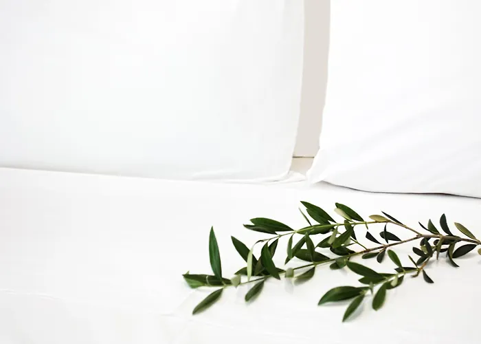 Atlas 아파트호텔 스키아토스 타운