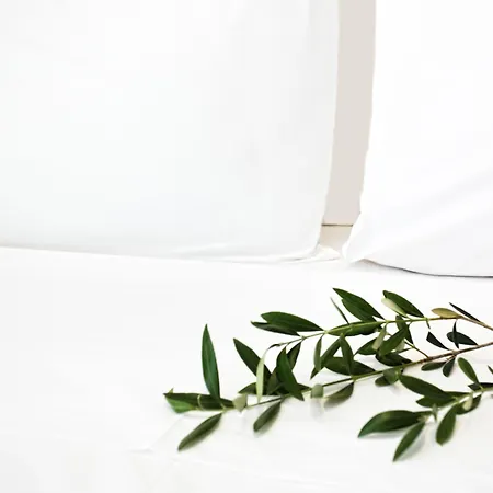 Atlas 아파트호텔 스키아토스 타운